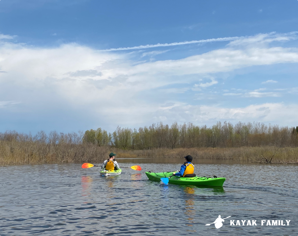 Two kayakers in a marsh